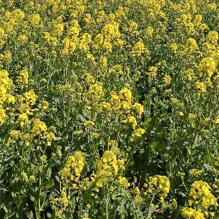 Lovely In With Kitchen 펜션 *