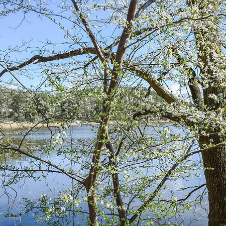 Lovely In With Kitchen *