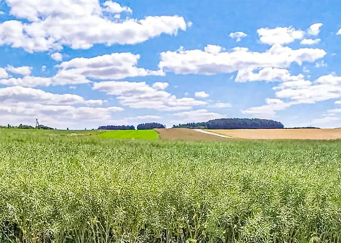 Lovely In With Kitchen בית נופש *