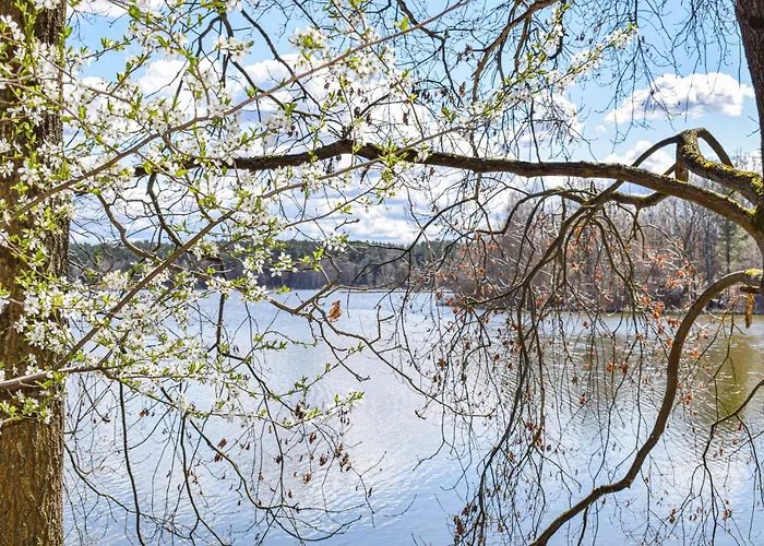 Lovely In With Kitchen בית נופש Sianow