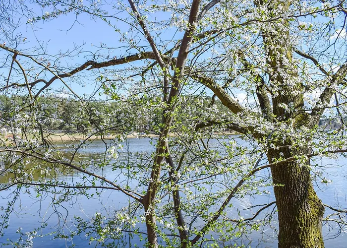 Lovely In With Kitchen *